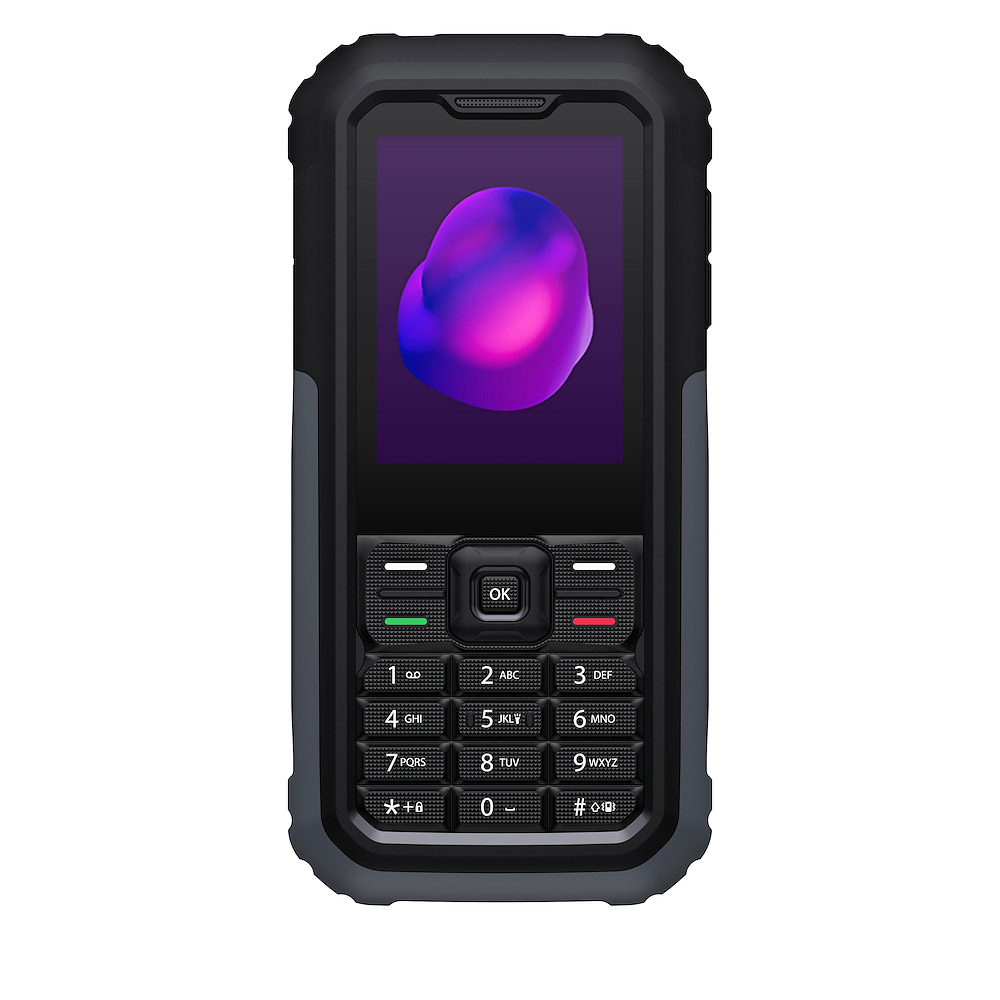 TCL 3189 Himalaya Gray Cellulare Rugged Phone 2.4 Pollici Dual Sim 64MB 128MB