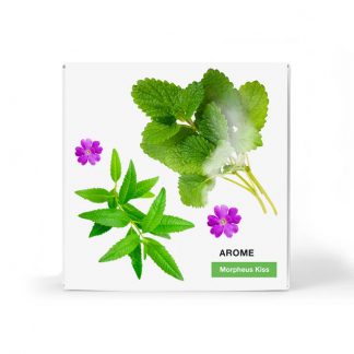 Wewater Infuso a Caldo Aroma Morpheus Kiss