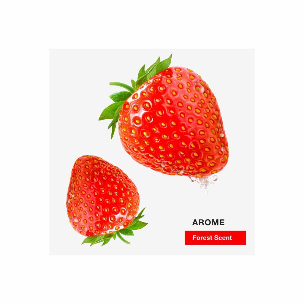 Wewater WWIAROMECFS Infuso A Freddo Arome Forest Scent