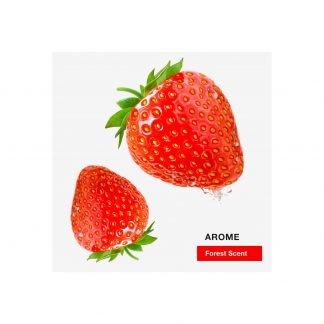 Wewater WWIAROMECFS Infuso A Freddo Arome Forest Scent