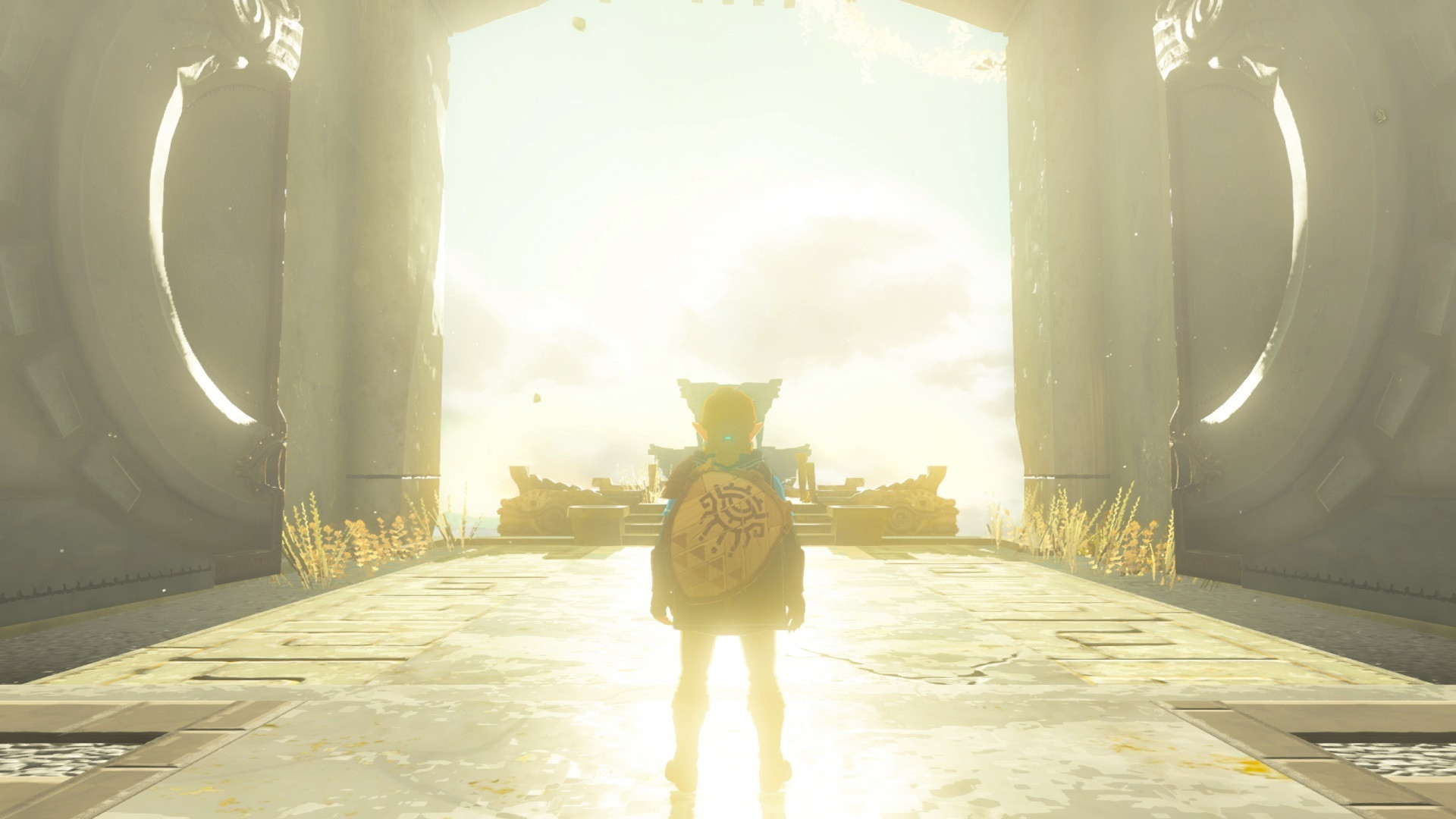 Legend of Zelda Tears of the Kingdom Videogioco per Nintendo Switch - immagine 2
