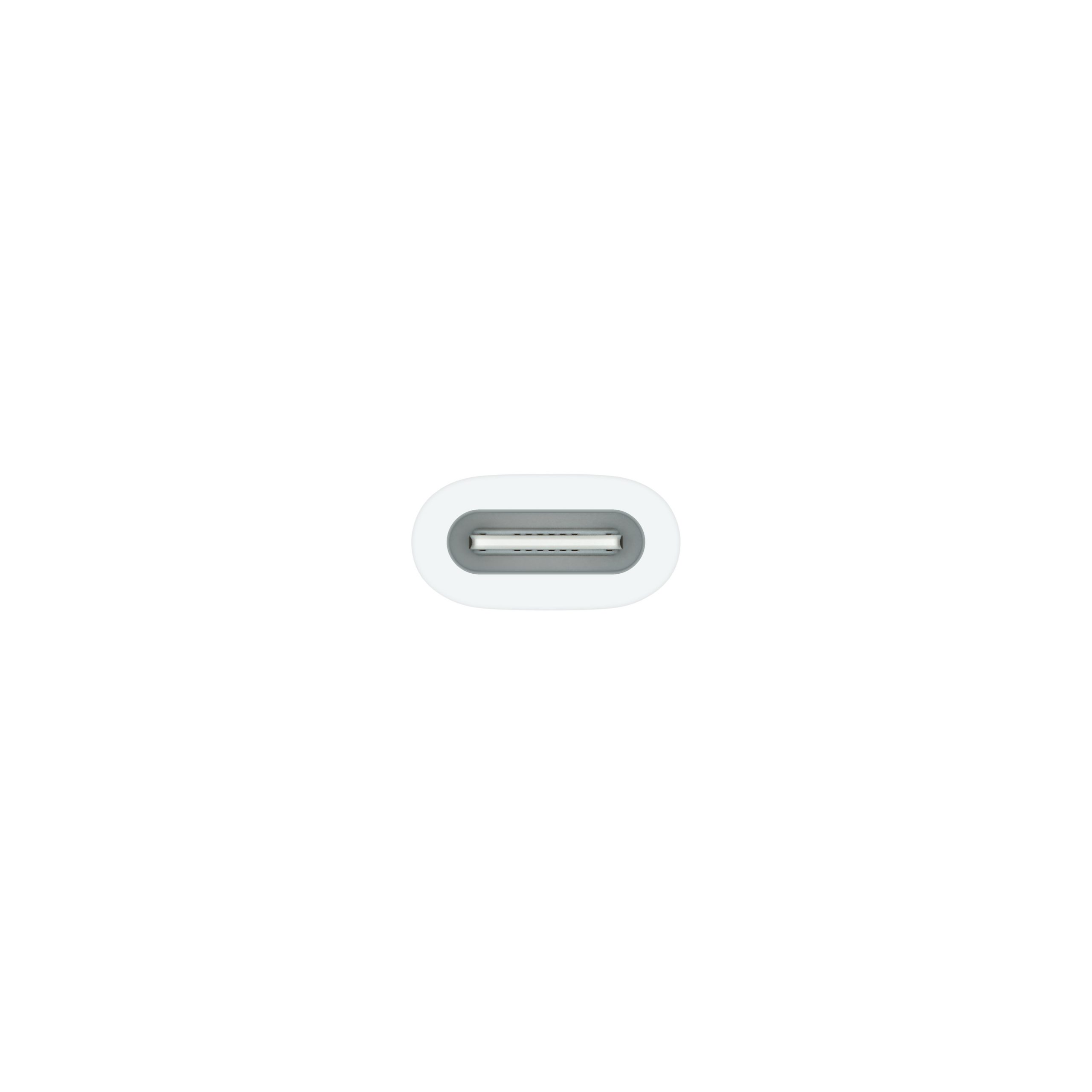 Apple MQLU3ZMA Adattatore USB-C To Apple Pencil - immagine 2