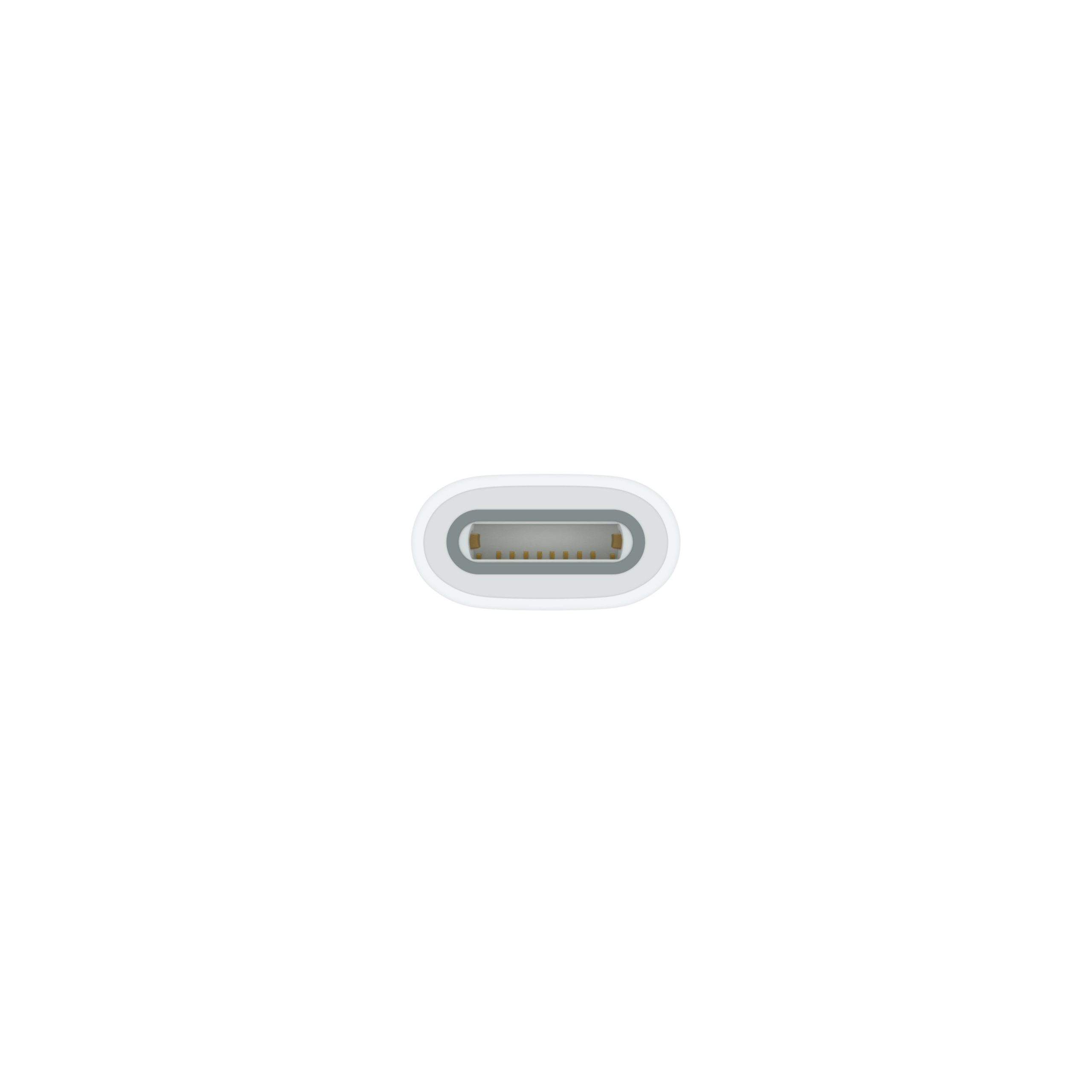 Apple MQLU3ZMA Adattatore USB-C To Apple Pencil - immagine 3
