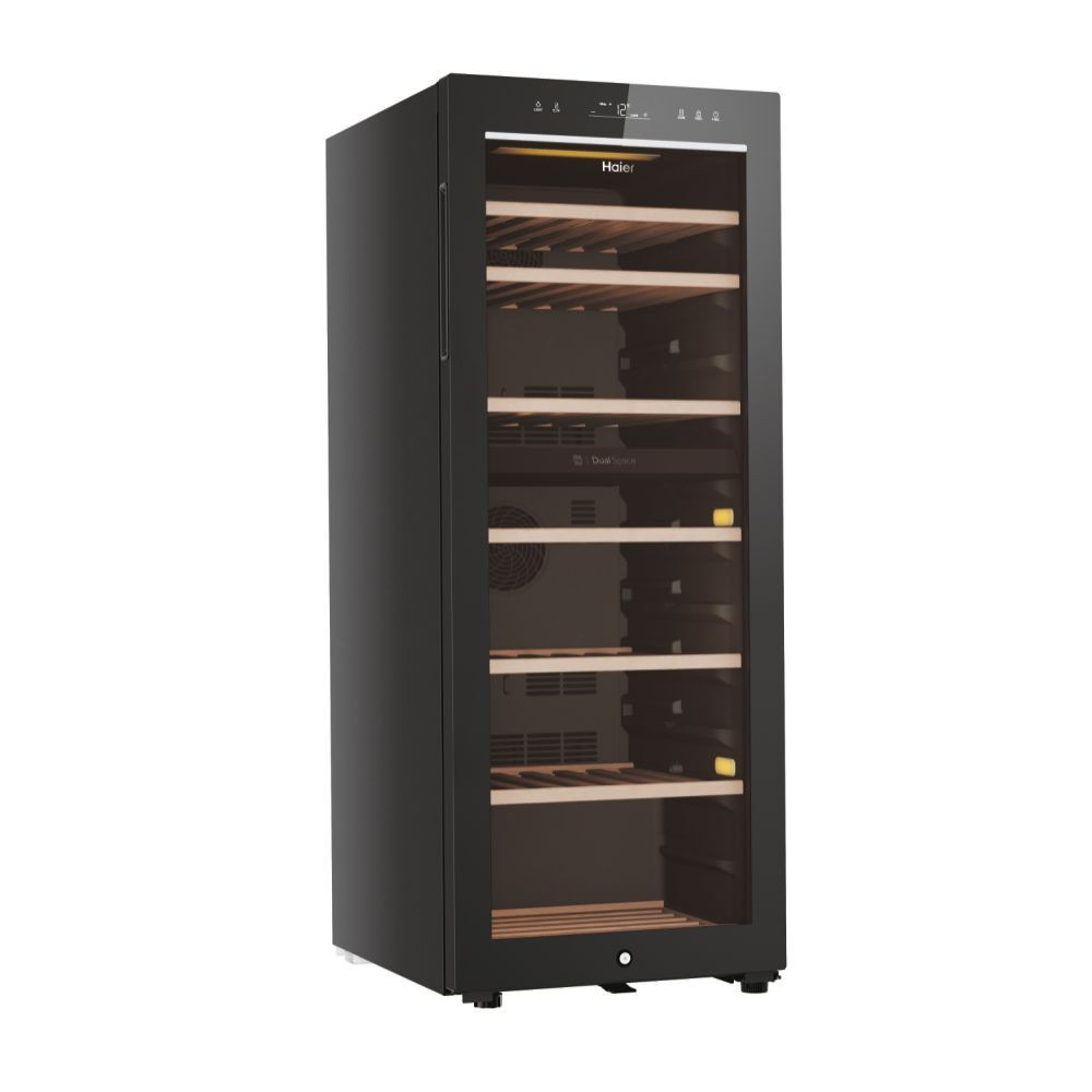 Haier HWS77GDAU1 Frigo Cantina 192 Litri - immagine 2