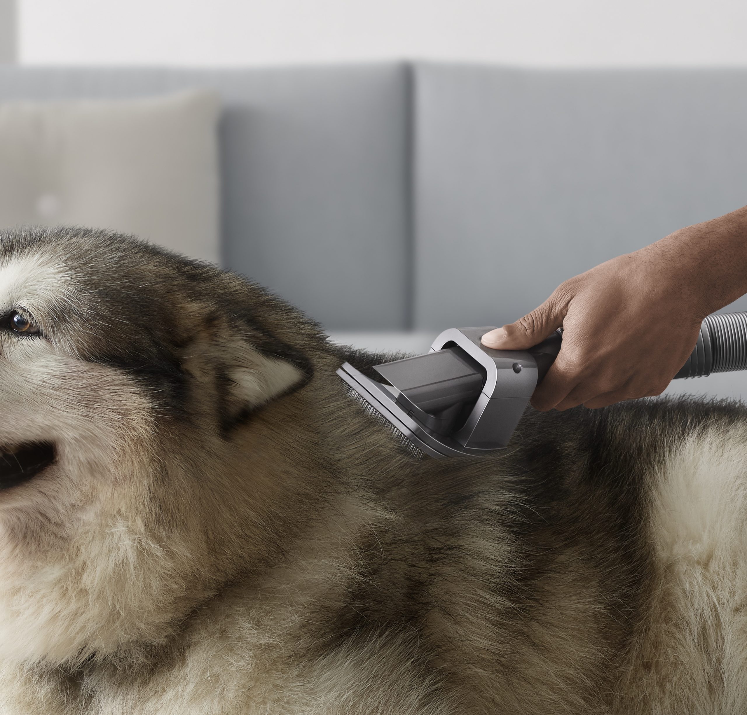 Dyson 97220501 Kit Accessori Cura degli Animali - immagine 4