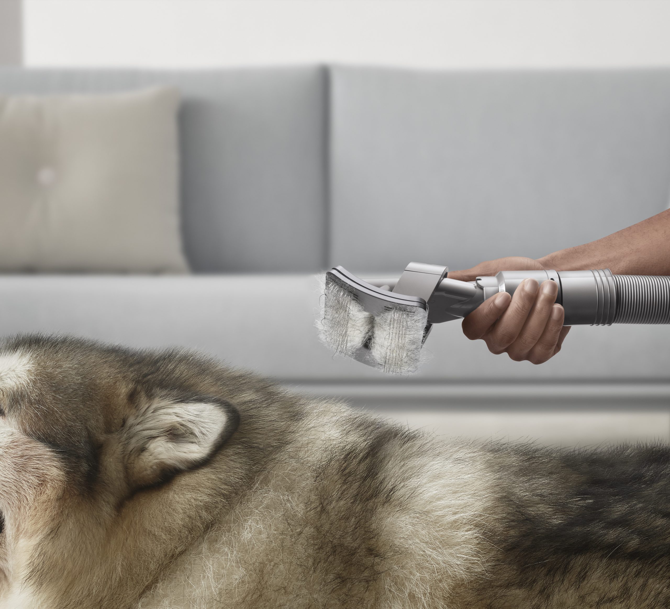 Dyson 97220501 Kit Accessori Cura degli Animali - immagine 5