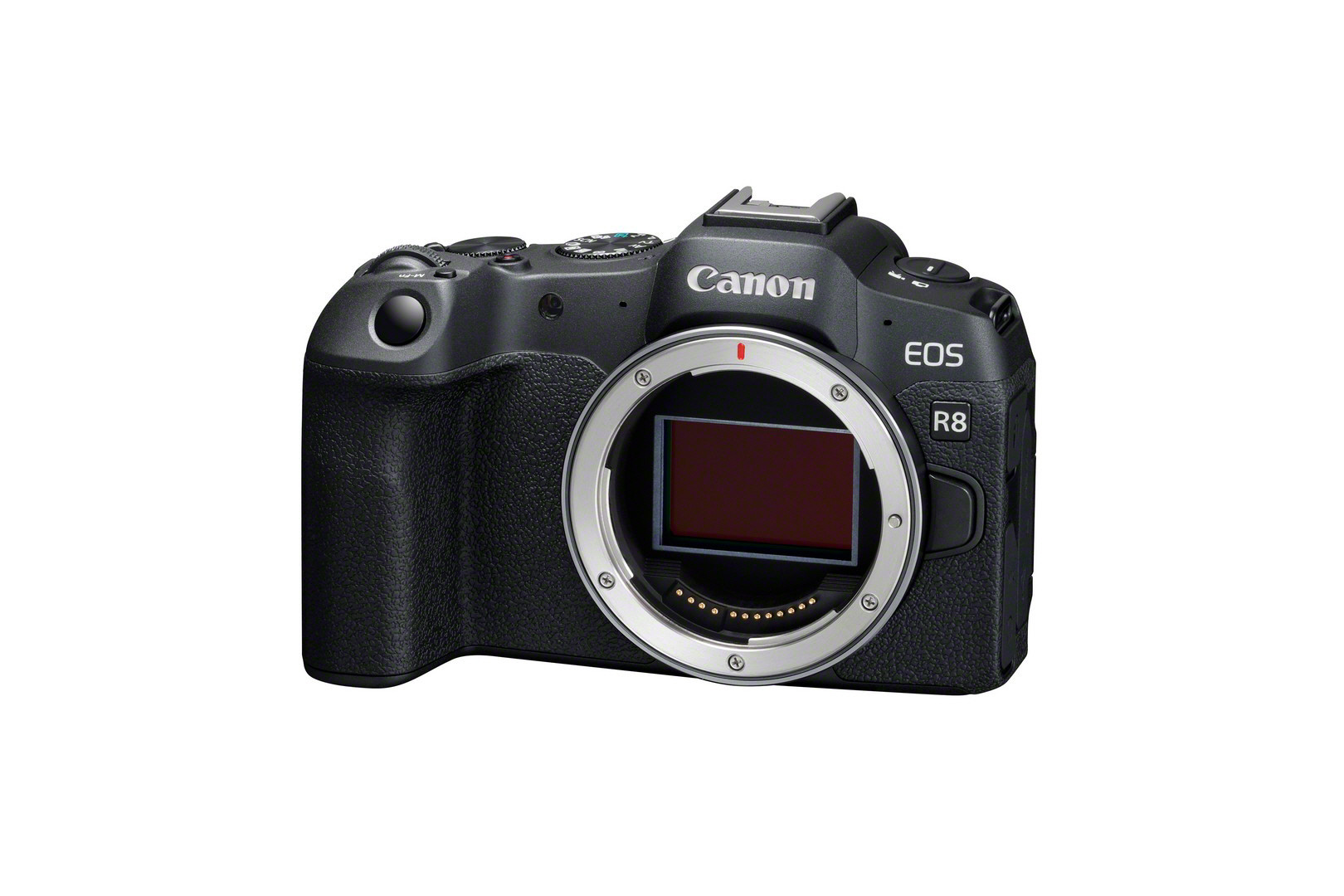 Canon EOS R8 Fotocamera Mirrorless Wi-Fi 24.2MPX - immagine 3