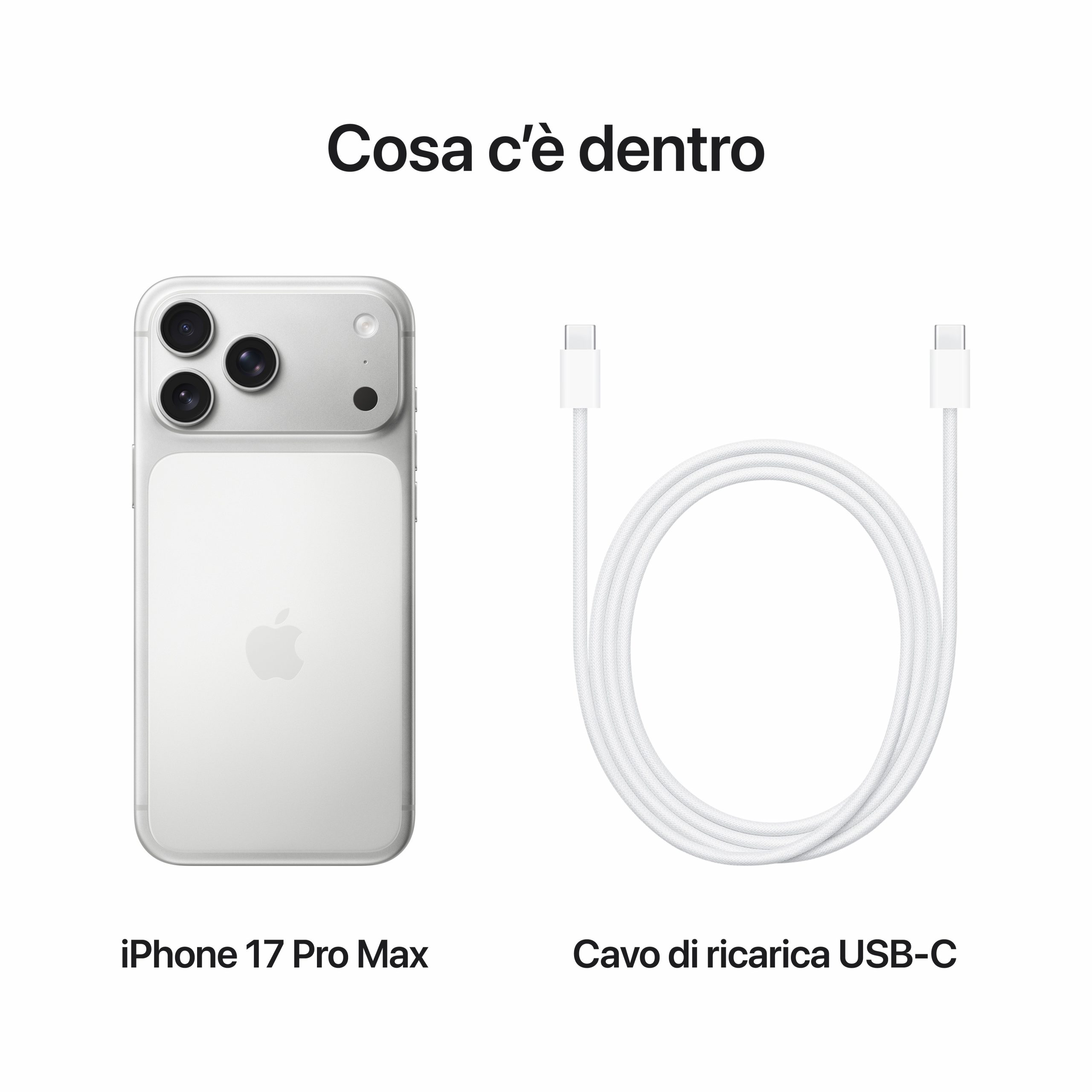 Apple MFYM4QLA iPhone 17 Pro Max Silver Smartphone 6.9 Pollici 256GB - immagine 3