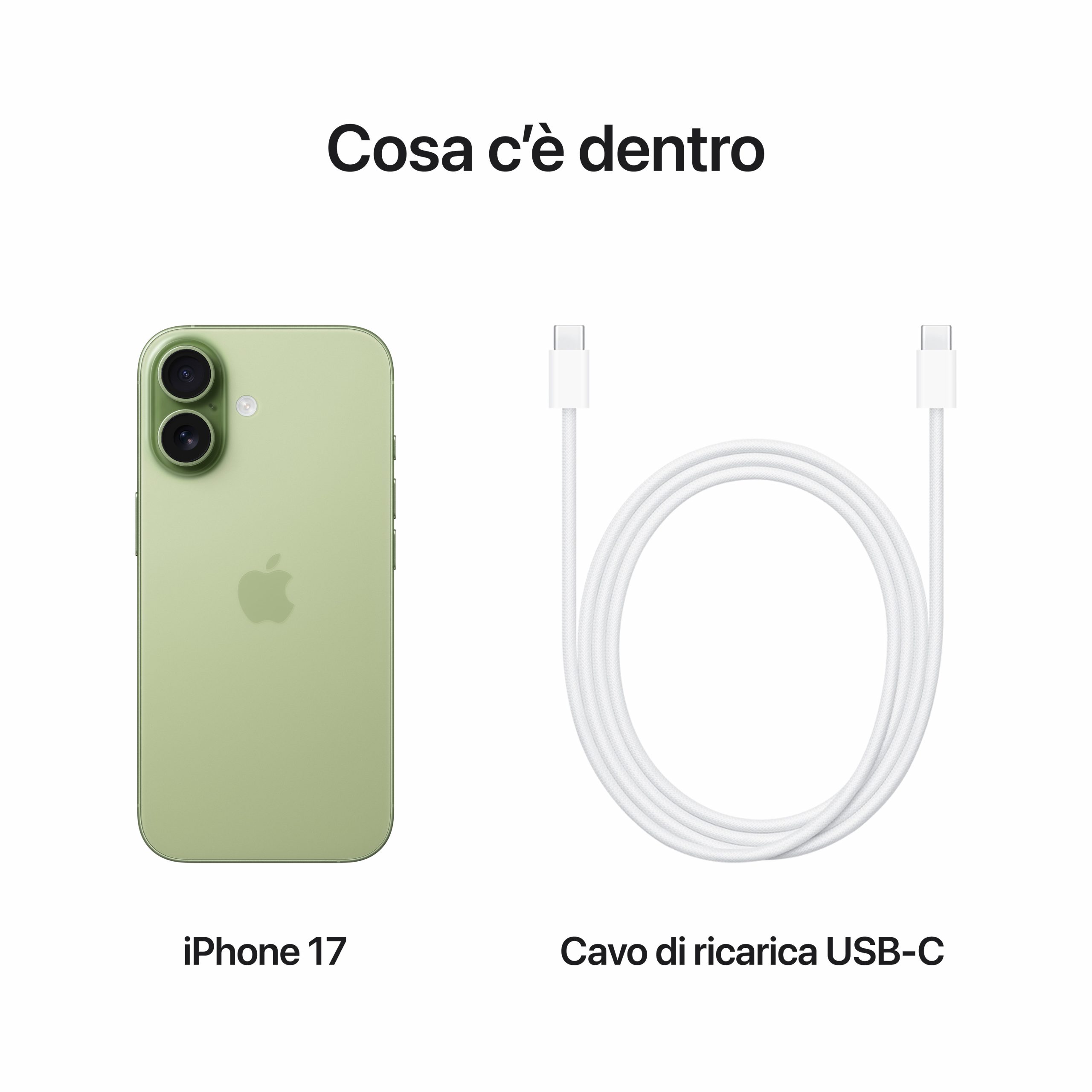 Apple MG6M4QLA iPhone 17 Salvia Smartphone 6.3 Pollici 256GB - immagine 3