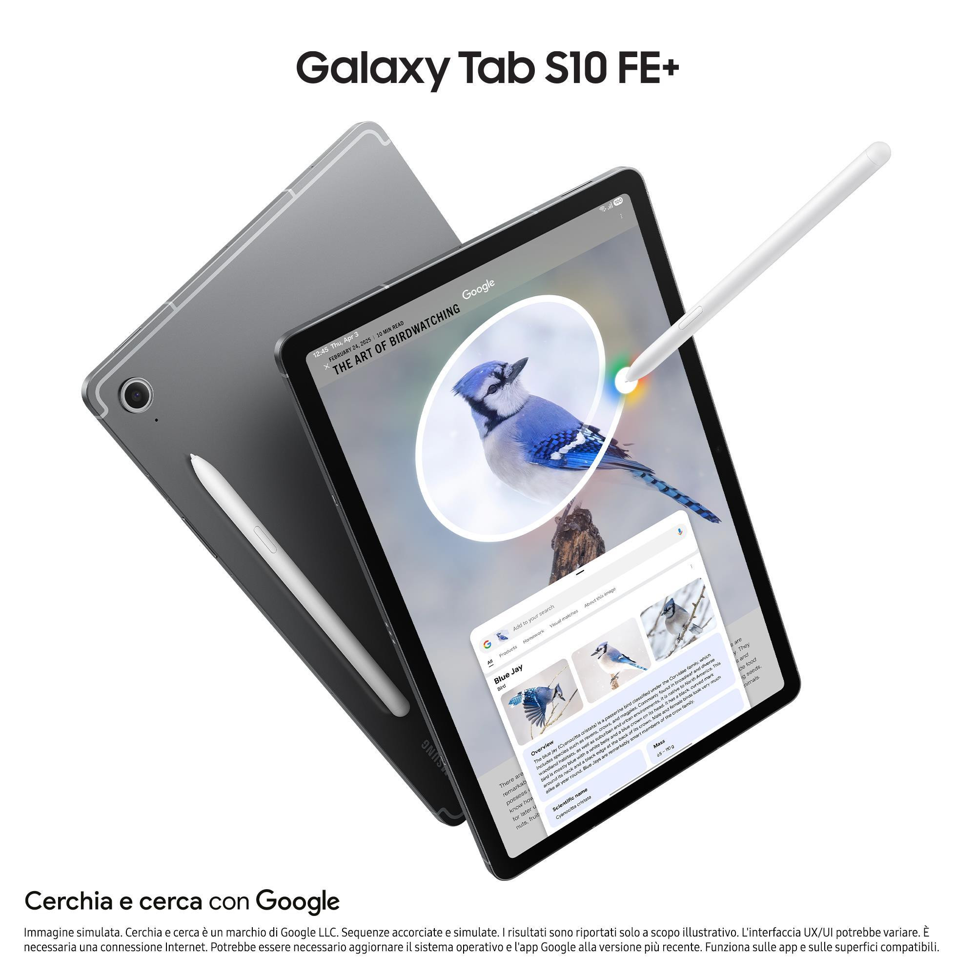 Samsung Tab S10 FE Plus Wi-Fi Gray Tablet 13.1 Pollici 12GB 256GB - Image 3
