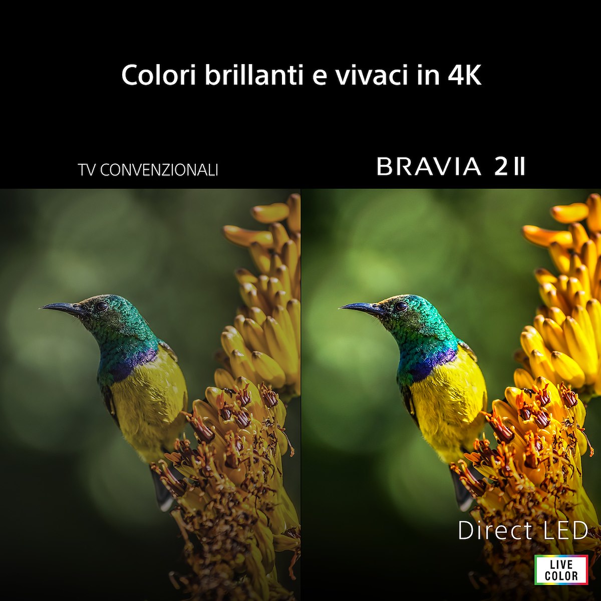 SONY K43S25M2PB Smart TV LED 43 Pollici UHD 4K Google TV - Image 2