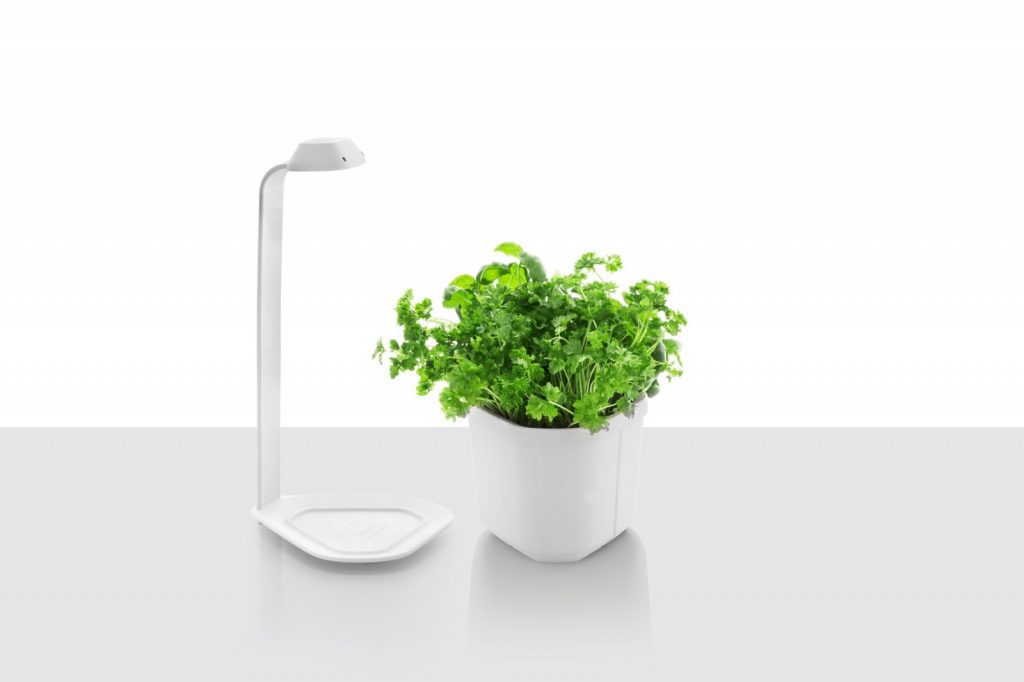 TREGREN GENIECMBW Orto Da Cucina Genie Bianco Coltivazione Idroponica