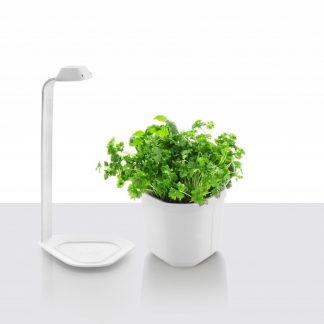 TREGREN GENIECMBW Orto Da Cucina Genie Bianco Coltivazione Idroponica